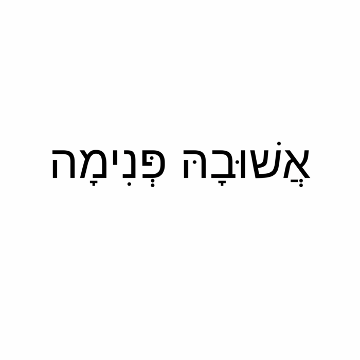אשובה פנימה